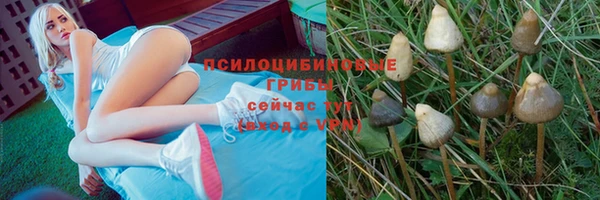 меф VHQ Горно-Алтайск